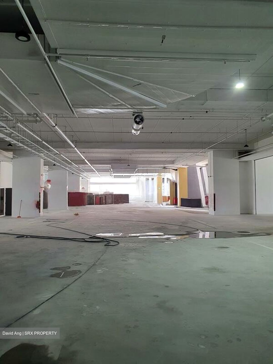 REVV (D22), Factory #483688511